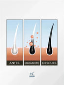 Shampoo Brimless Botánico – Canas Fuera en Segundos